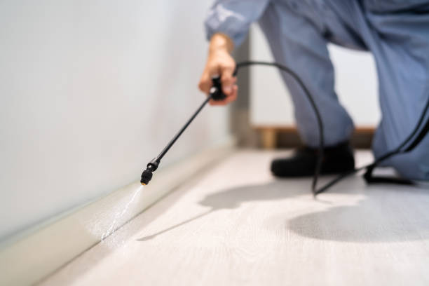 Licensed Cockroach Control service in Dacula, GA - Nex Pest Control